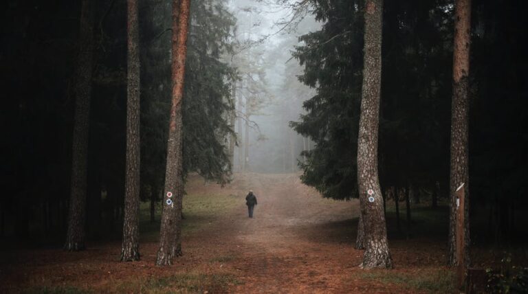 wałek homokinetyczny